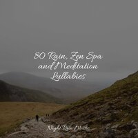 Beach, Far, Waves, Birds, Wind - Asmr Sleep Sounds & Chillout Lounge & Entspannungsmusik