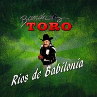 Pachuco Bailarin - Banda Toro