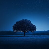 Absence - BLXCK APPLE