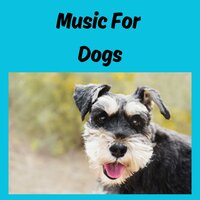 Peaceful Thoughts - Music for Dogs & Music for Dogs Peace & Relaxing Puppy Music & Calm Pets Music Academy