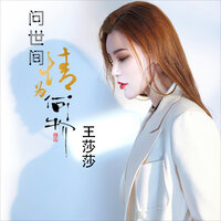 问世间情为何物 - 王莎莎
