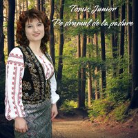 Pe drumul de la padure - Tomis Junior