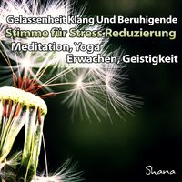 Innere Balance - ShaNa