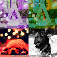 Trio Jazz Soundtrack for Separation Anxiety - Music for Dogs Collections