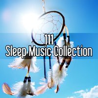 Meditation Music (Piano Music) - Deep Sleep Music Masters