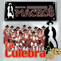 Un Dia Especial - Banda Machos