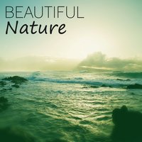 Dreamland - Hypnosis Nature Sounds Universe