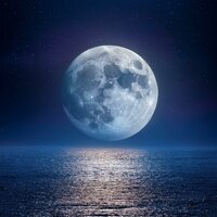 Los Ritmos Calman La Quietud De La Tarde - Reverendo XYZ & Lista de reproducción de música cubana & Sistemas subliminales de ondas cerebrales de ritmo binaural