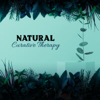 Pleasant Time - Calm Nature Oasis & Nature Meditation Academy