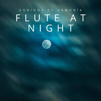 The Solace - Sonidos de Armonía