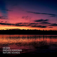 Ocean & Thunder Sound - Nature Recordings & Ocean Sounds Plus & Piano and Ocean Waves
