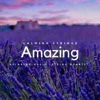 Reverie - Calming Strings