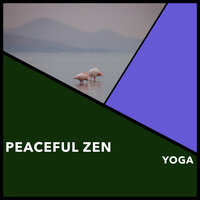 Sleek Panacea - Reiki Collective & Reiki Warmth & Reiki Zen Music