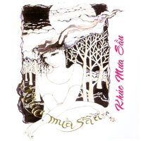 Hoa Nở Về Đêm - Thanh Thúy