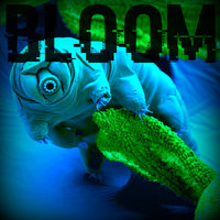 Here Comes The Fear - Bloom