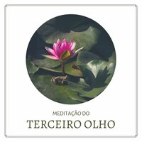 Sessão de Meditação - Chakra Música Cura