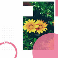 Marvellous Sleepy Sundays - Restaurante de Musica de Lujo