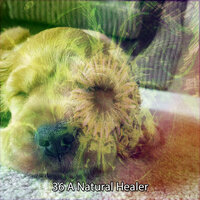 Sleep Serenity - White Noise Baby Sleep