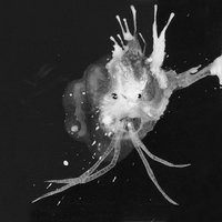 64º46'34.1"N 14º02'55.8"W - Sigur Rós