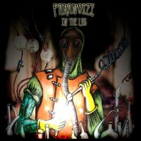 Ketamaniac Rmx - Paranoize