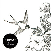 Don't Let Me Go - 10cm