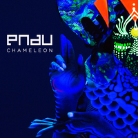 Chameleon - PNAU & Kira Divine
