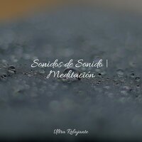 Polvo Rodante - Sons da natureza HD & Sueño Profundo & Música para Relajarse Profundamente