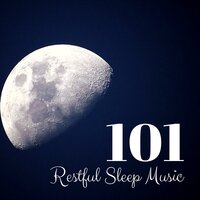 Tai Chi Music (Understanding) - Restful Sleep Academy & Deep Sleep Music Guru & Deep Sleep Music Guru & Restful Sleep Academy