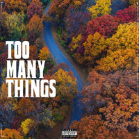 Too Many Things - 2Much