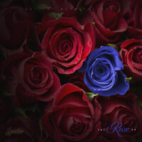 I Got Older - Spodee