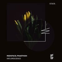 Inflorescence - Redspace & Phaethon