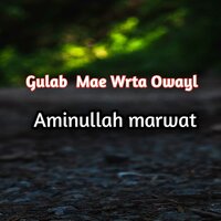 Gulab Mae Wrta Owayl - Amin Ullah Marwat