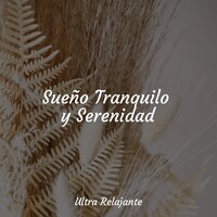 Canciones De Cuna - Sueño Profundo & Musica Para Relajarse & Unidad de música zen relajante