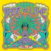 I Don't Want to Belong to You - Vasco & Ay