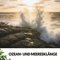 Umarmung der Ruhe - Dog Relaxation & Ocean Sounds FX & Musik für die Arbeit