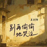 别再偷偷地哭泣 - 王剑锋