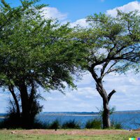 Paisaje de Catamarca - Los Cantores de Quilla Huasi