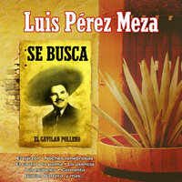 Rosita de Olivo - Luis Perez Meza