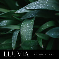 Lluvias Calmas - Relajante Musica & Lluvia Relajante & Sonidos de lluvia