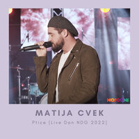 Ptice - Matija Cvek