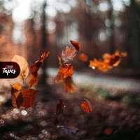 Outlands - Akın & Drxnk & Golden Ticket Tapes & Tonion