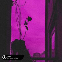 Stupid - EQRIC & Rushlow & Nito-Onna