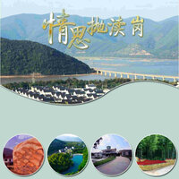 情思抛渎岗 - 李庆芳