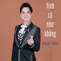 Sao Chưa Thấy Hồi Âm - Ngoc Son & Hoàng Châu