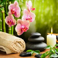 Down To My Luck - David Lee