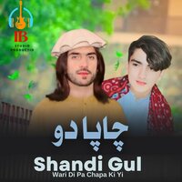 Wari Di Pa Chapa Ki Yi - Shandi Gul