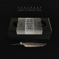 Feathers - Insideinfo & Fable & Kings & Creatures