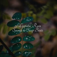 Bonfire Night - Studying Music & Forest Soundscapes & Regen zum Schlafen