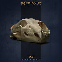 Grizzly - Bios Destruction