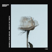 Skin of My Teeth - WARED & Sam Welch
